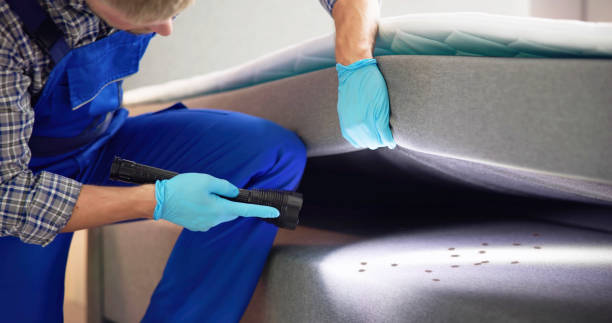 Trusted Mcchord Af, WA Pest Control Experts