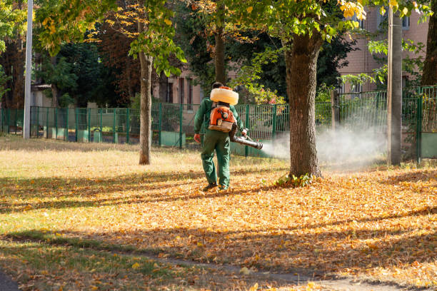 Best Bed Bug Extermination  in Mcchord Af, WA